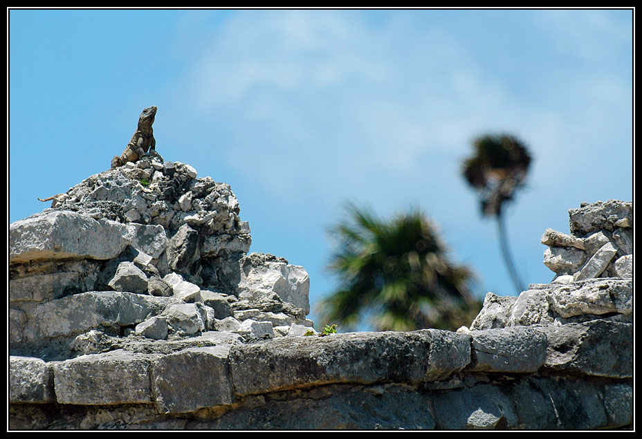 043 Tulum